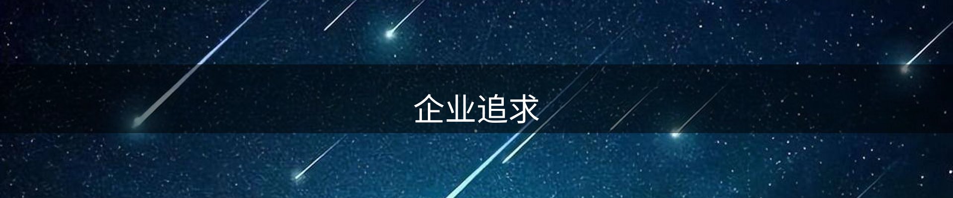 企业追求